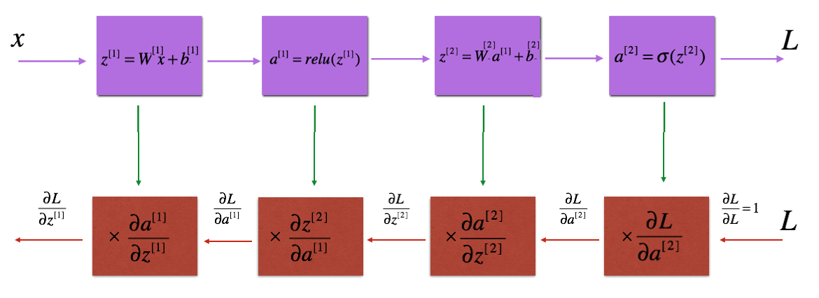 backward propagation