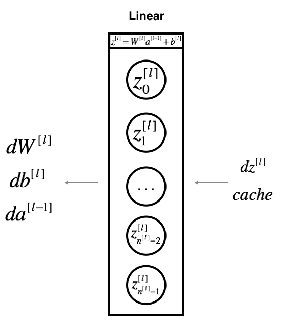 backward single layer